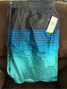burnside Teal to Gray Ombre Stripe Men’s Swim Trunks
